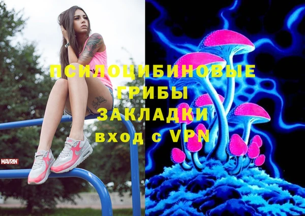 а пвп мука Ельня